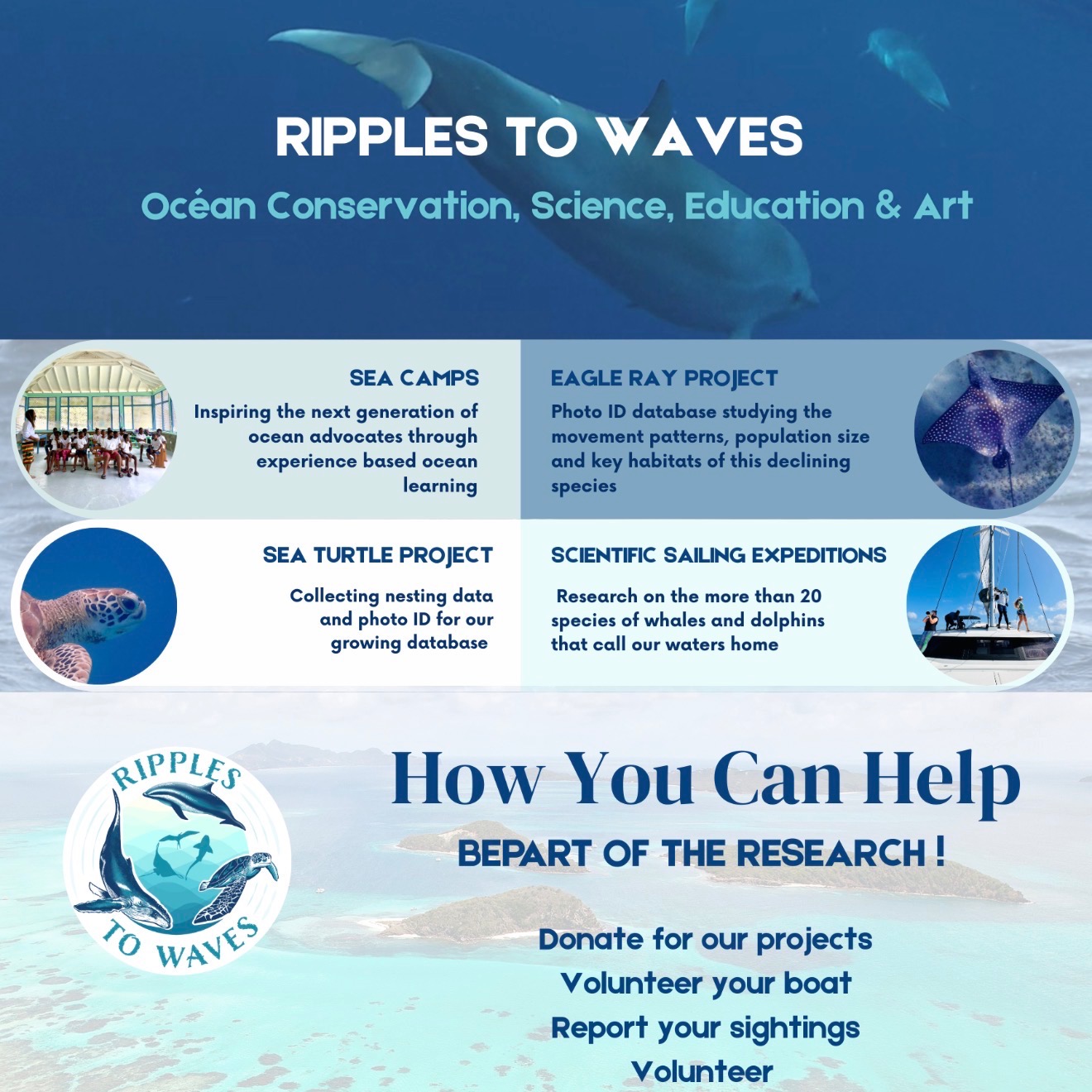 Ripples to Waves Flyer  thumbnail