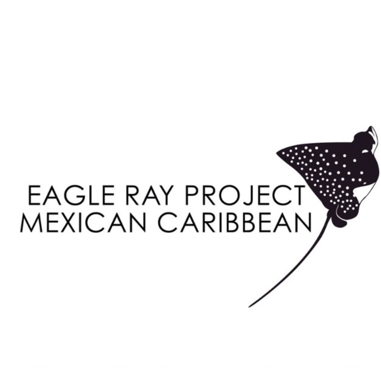 Our Partners - Eagle ray project Mexican Caribbean thumbnail