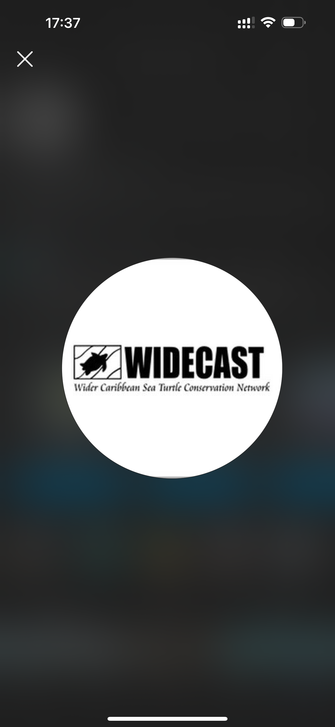 Our Partners - Wider Caribbean Sea Turtle Conservation Network   (WIDECAST)  thumbnail