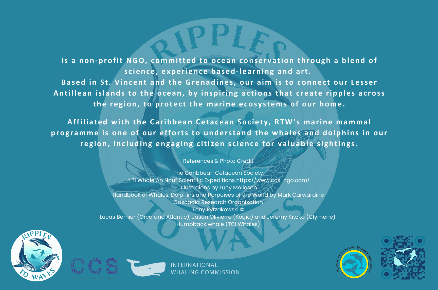 Cetacean ID Cards SVG  thumbnail