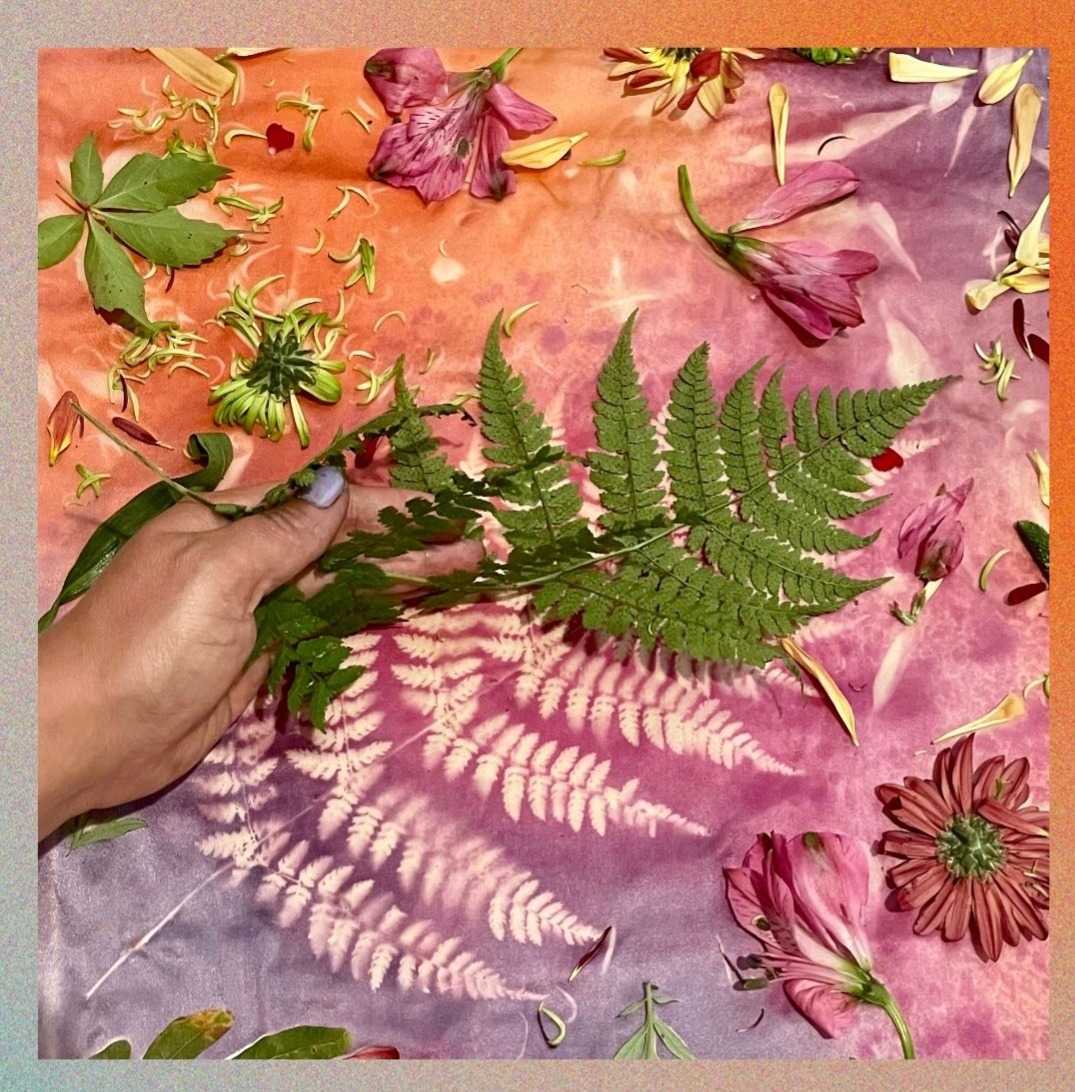 Sat Aug 22nd 11-12:30 PM Glen Foerd Botanical Alchemy: A Solar Dye Workshop thumbnail