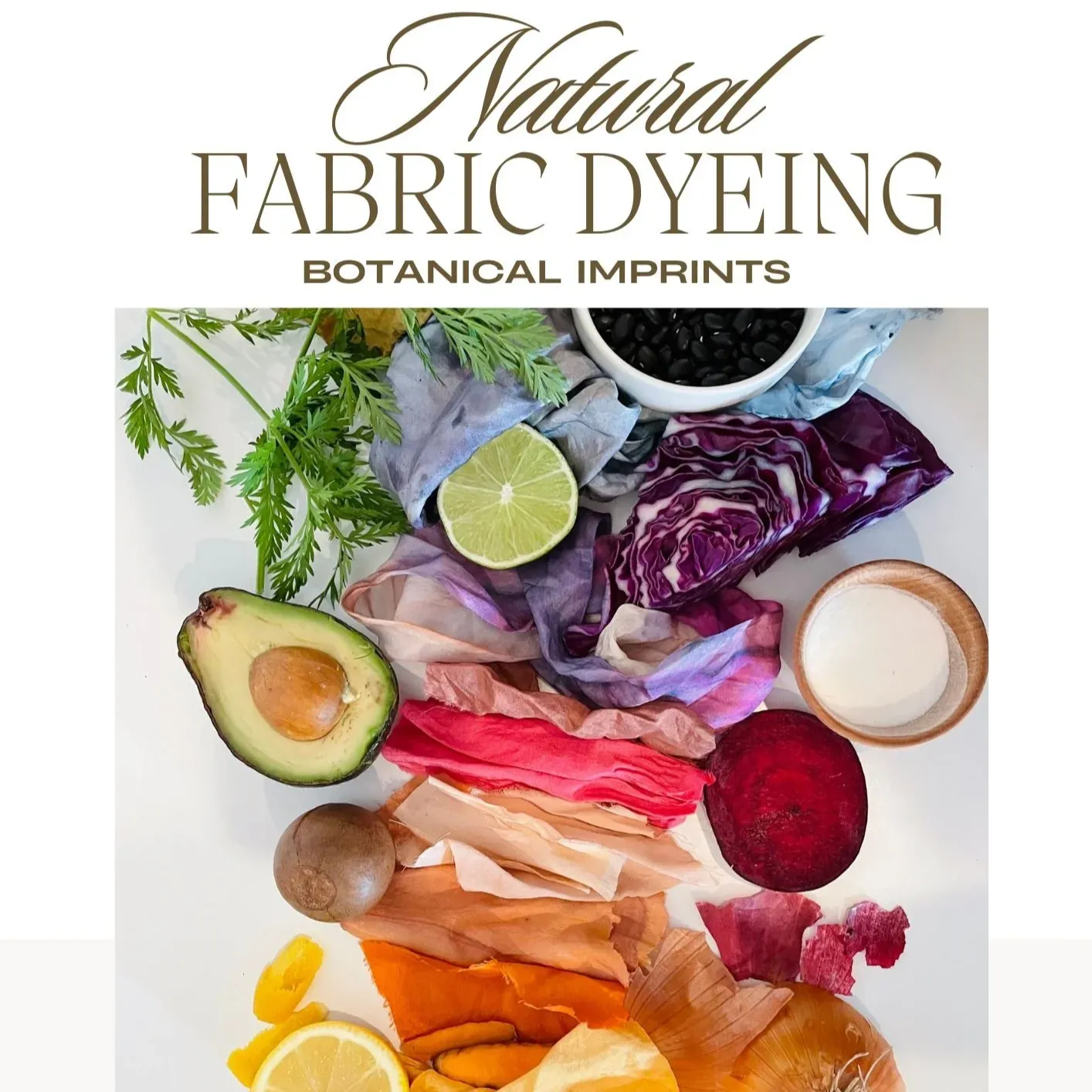 Nature Fabric Dyeing: Teacher Workbook Download thumbnail