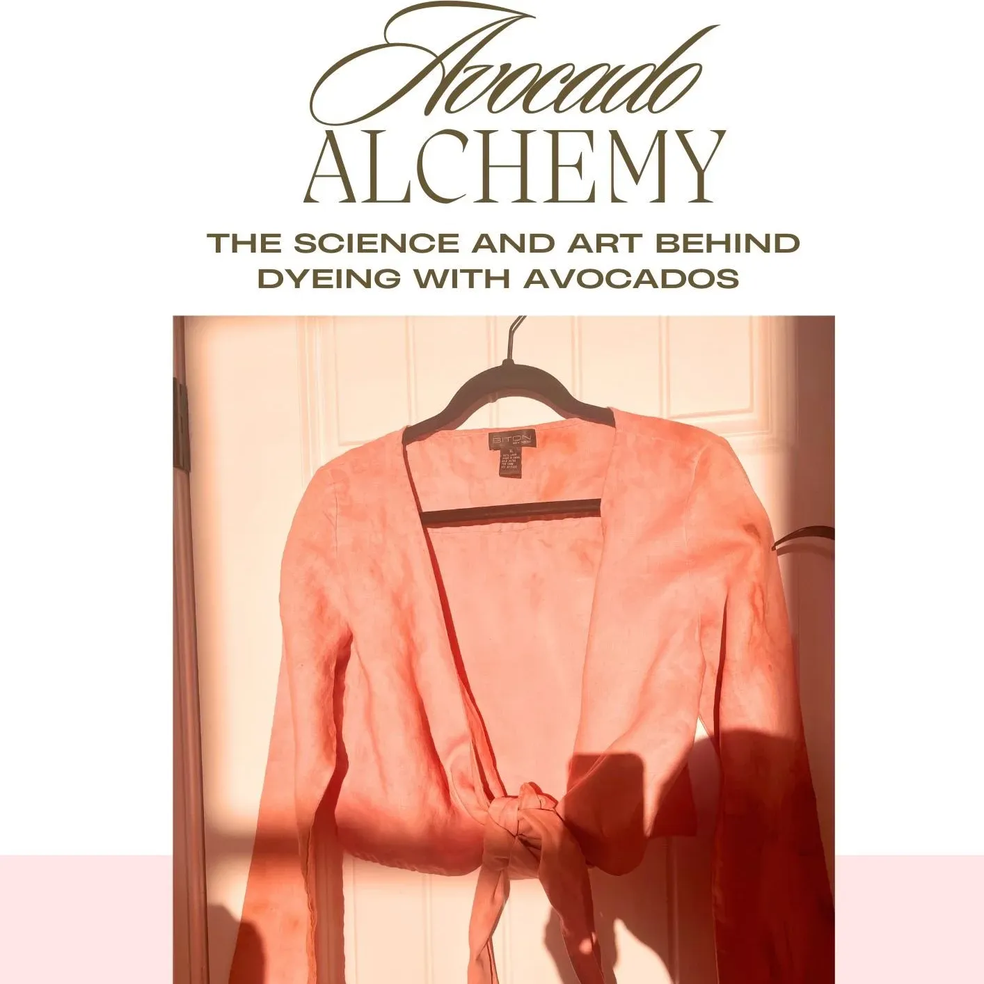 Avocado Alchemy: Dye Workbook Download + Video Replay thumbnail