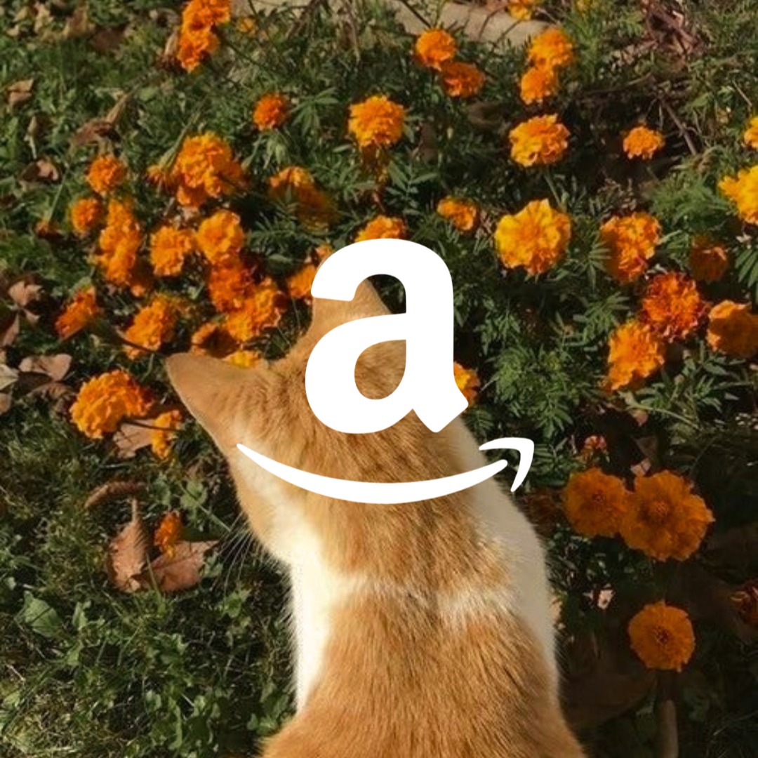 Amazon thumbnail