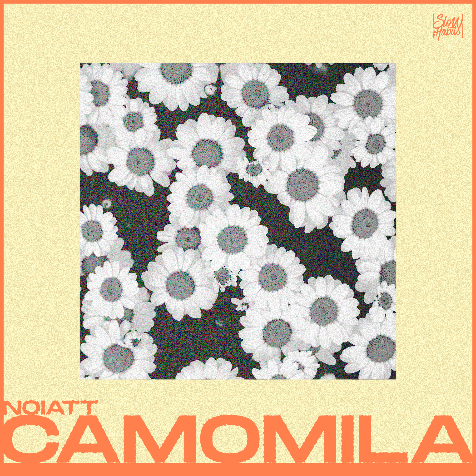 Camomila by NOIATT thumbnail