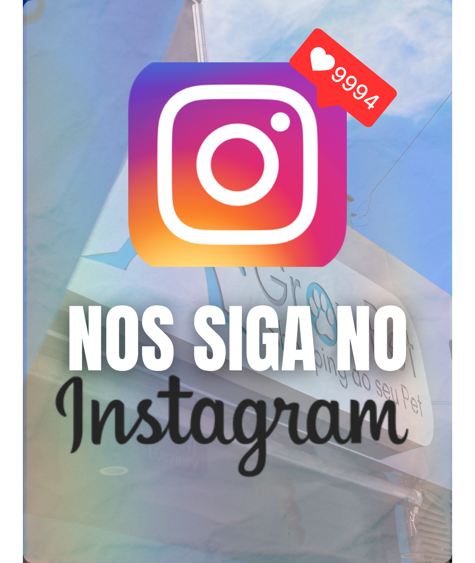 Siga o Instagram thumbnail