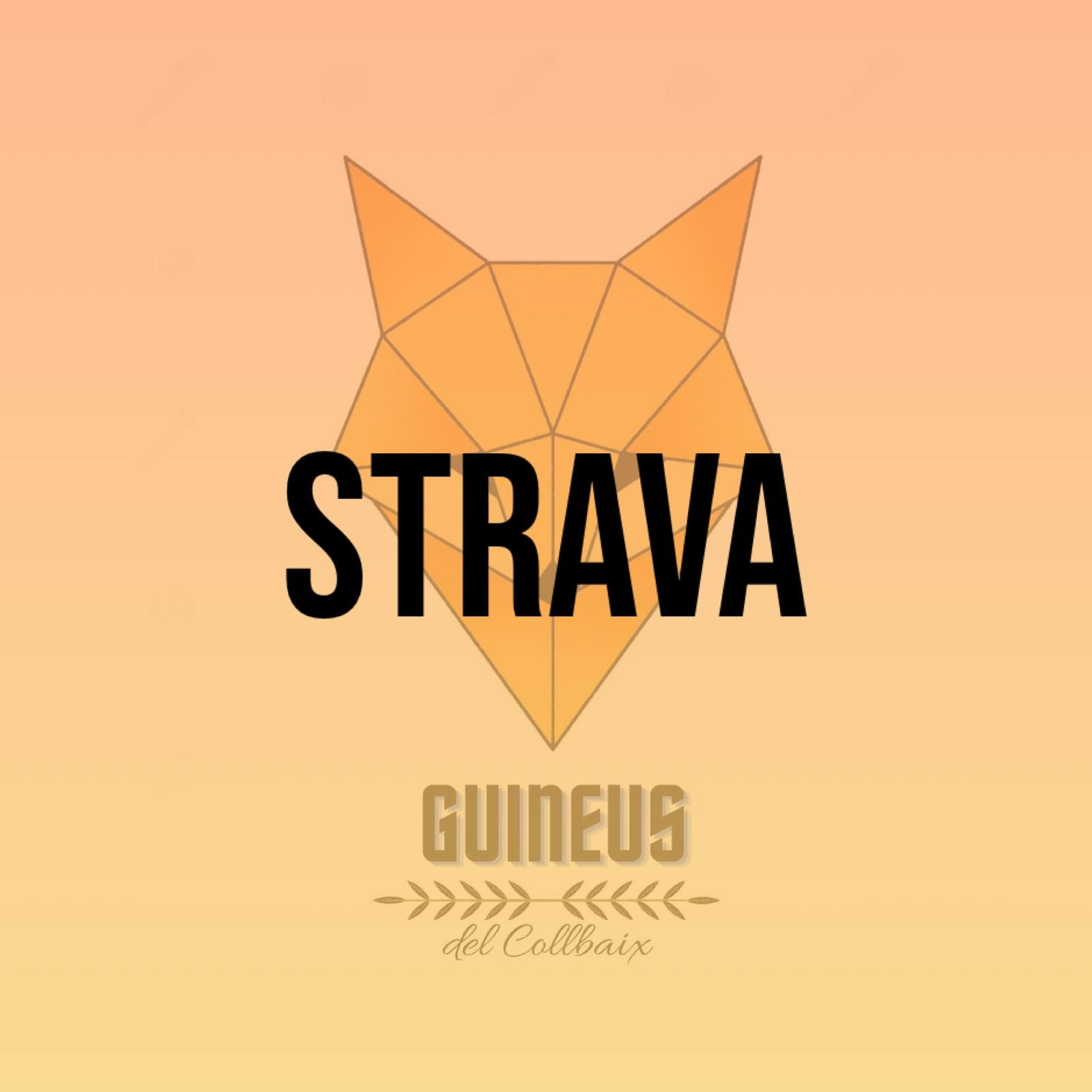 Guineus del Collbaix🦊 | Strava Runner Profile thumbnail