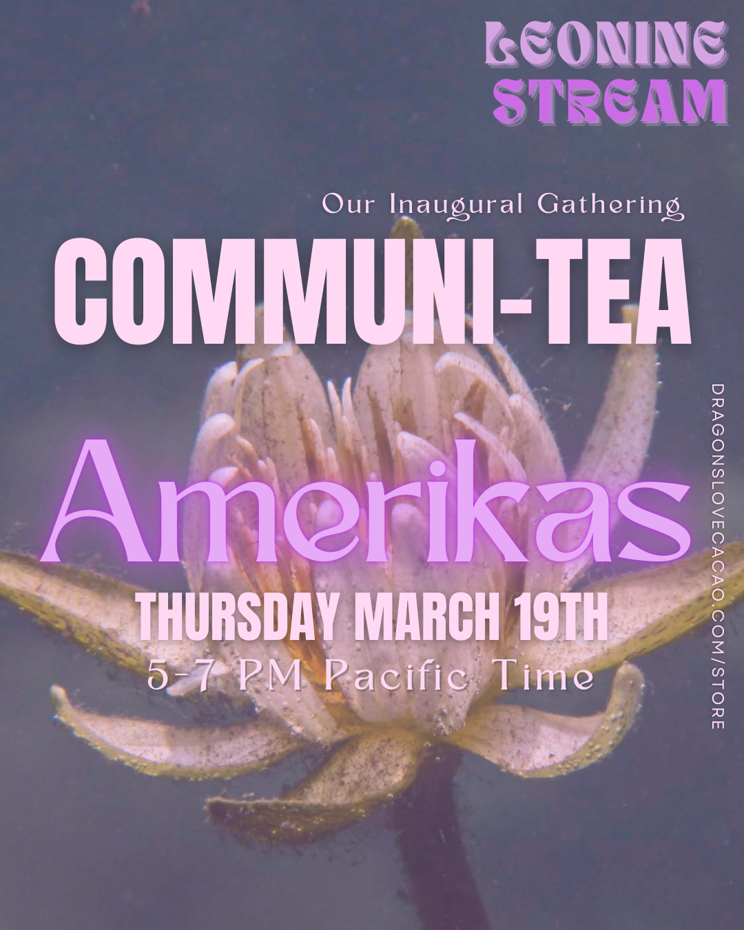 COMMUNI-TEA GATHERINGS w/Leonine Stream thumbnail
