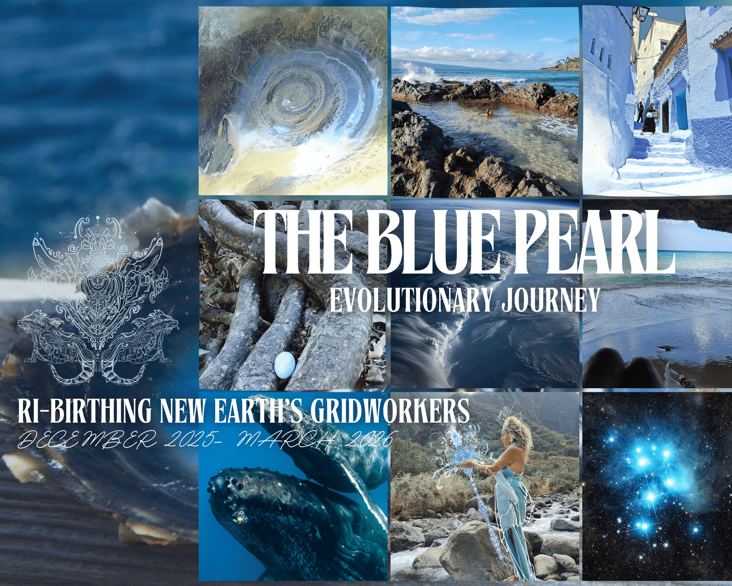 THE BLUE PEARL-Evolutionary Journey  (DEC 2025-MAR 2026) — DRAGONS LOVE CACAO thumbnail