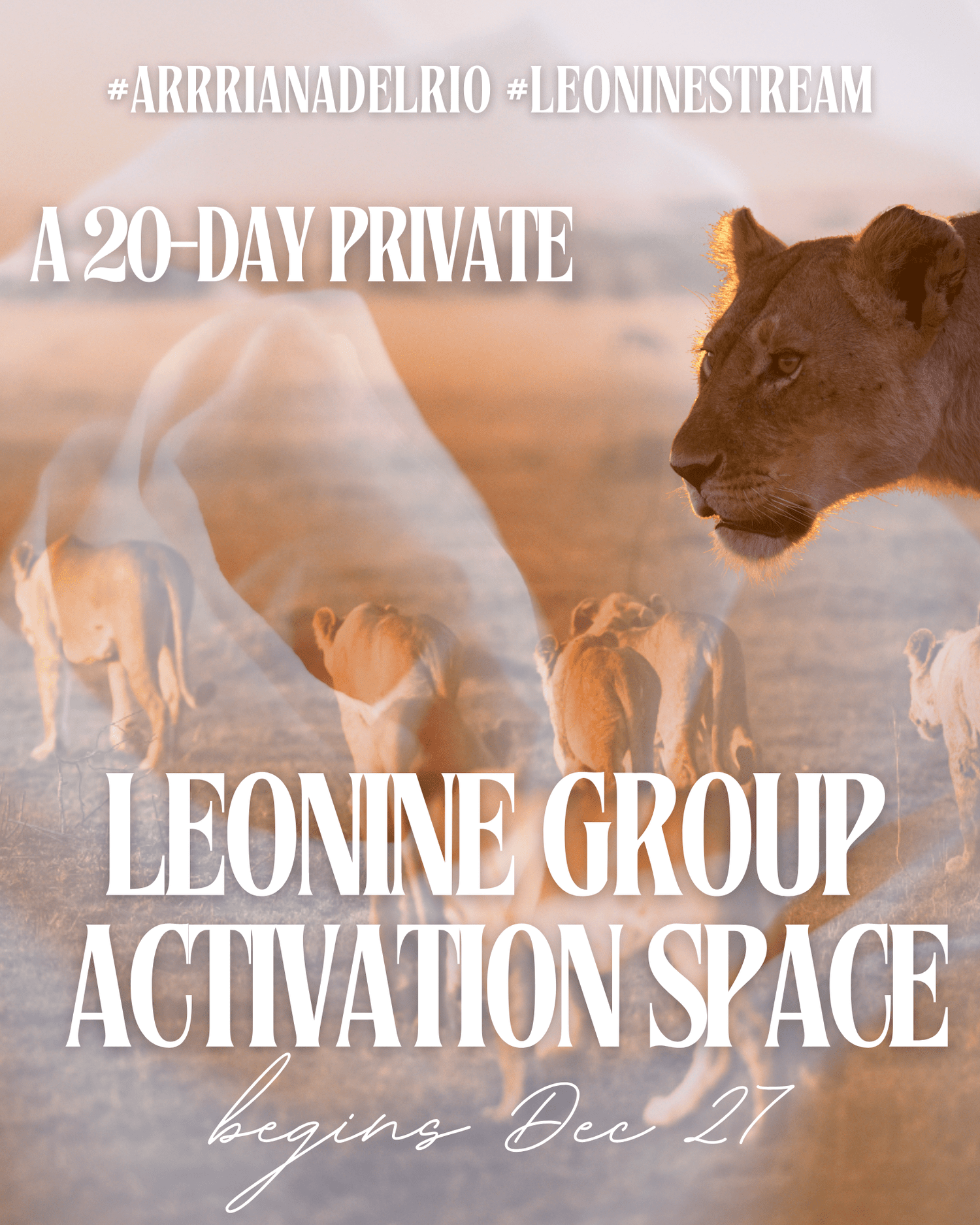 LEONINE STREAM thumbnail