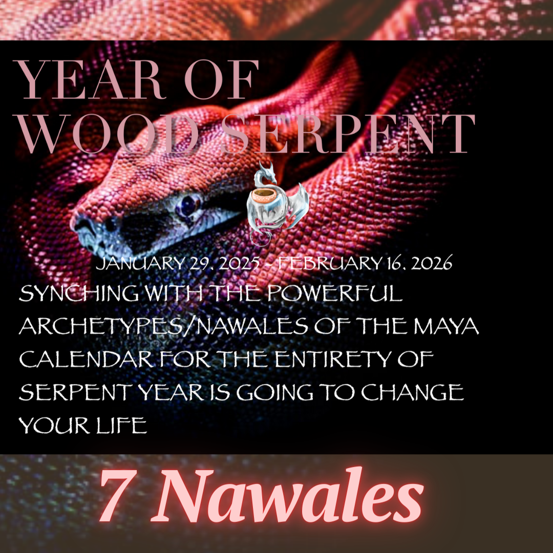 MAYA CALENDAR- 7 NAWALES: Year of the Serpent thumbnail