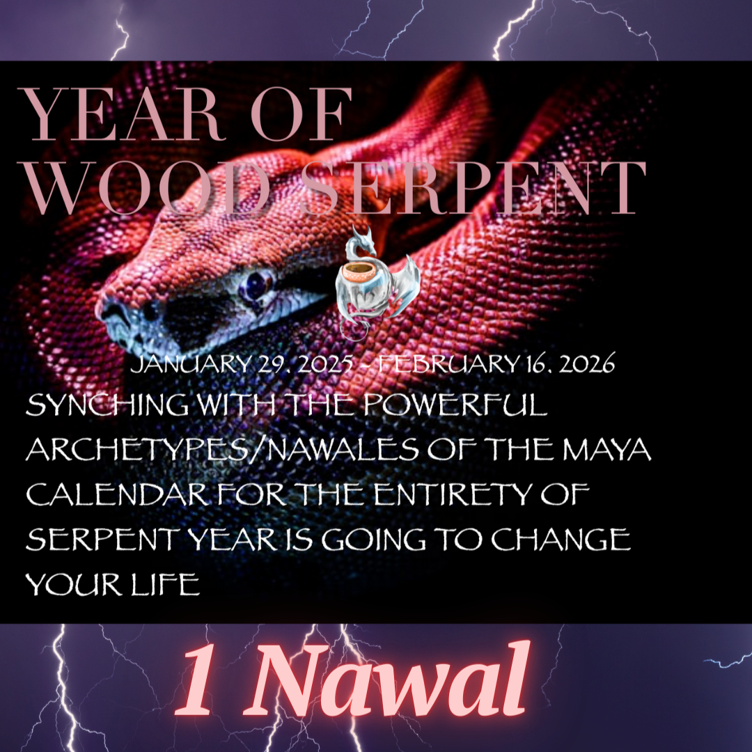 SERPENT KAN CALENDAR (or 1 NAWAL of your Choice) thumbnail