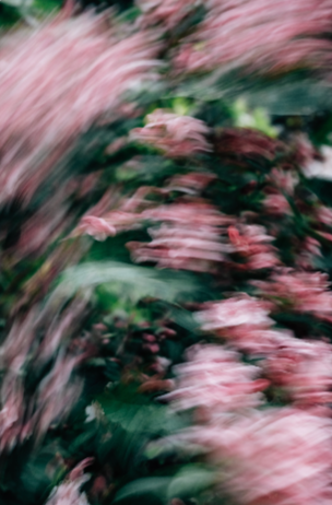 Website thumbnail
