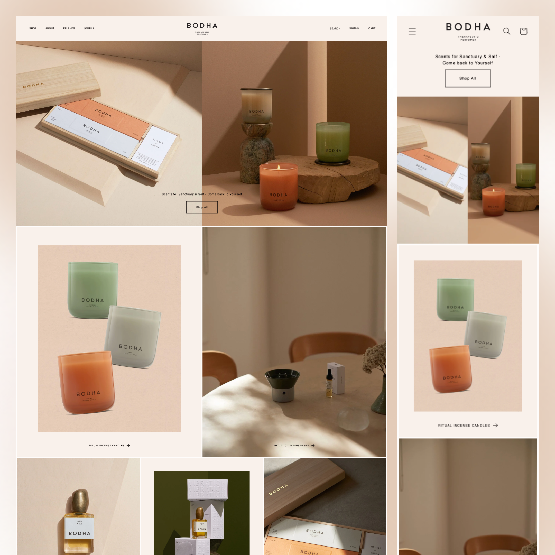 BODHA WEBSITE (pass:vip) thumbnail