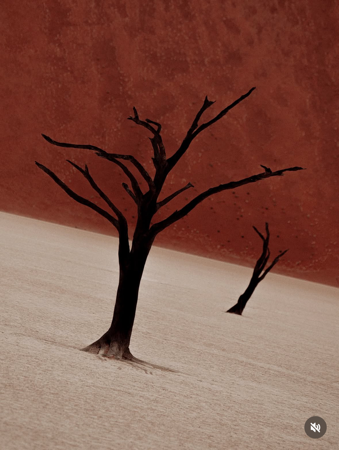 NAMIBIA NOV ‘26 - APPLY NOW thumbnail