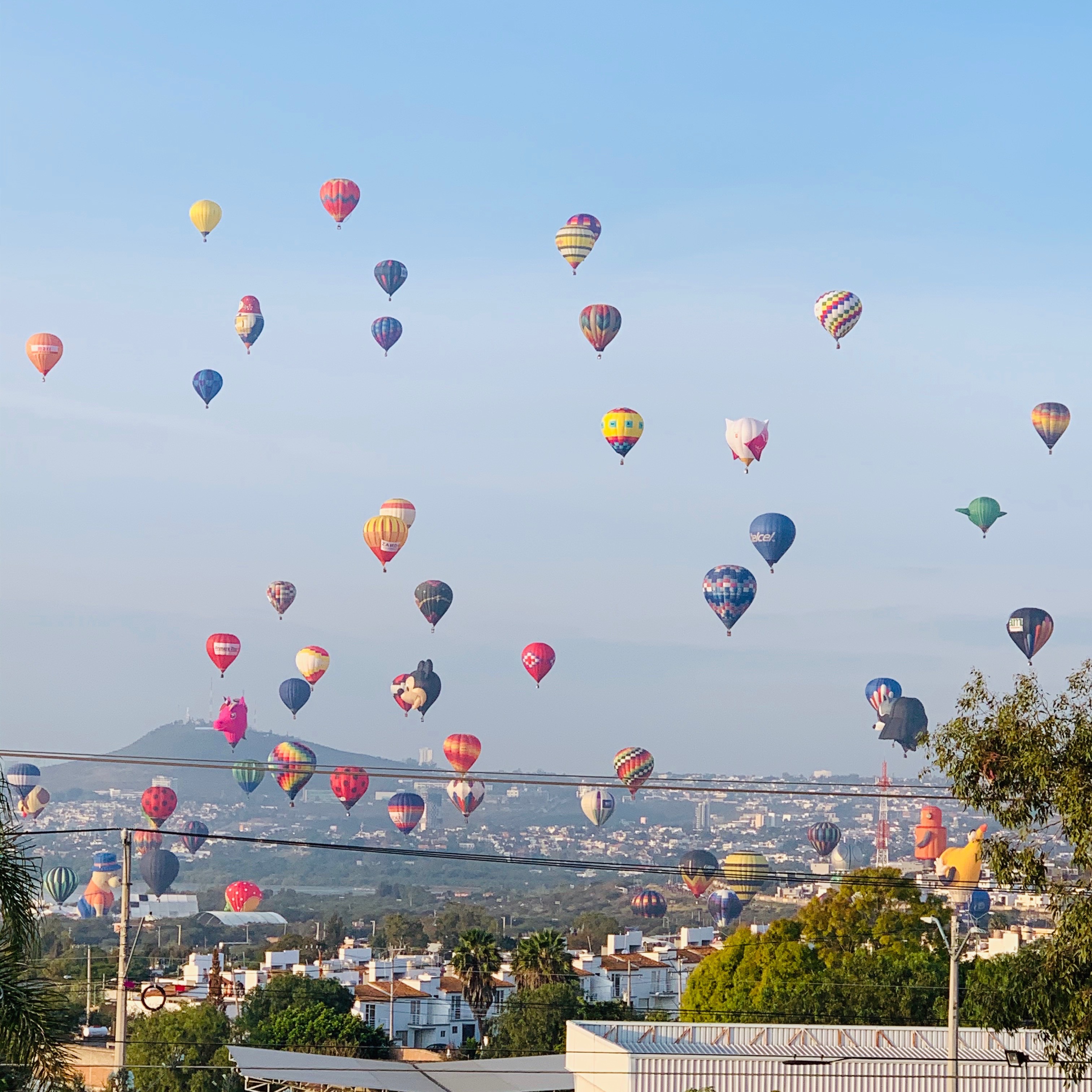 SHUTTERSTOCK (PICTURES) thumbnail