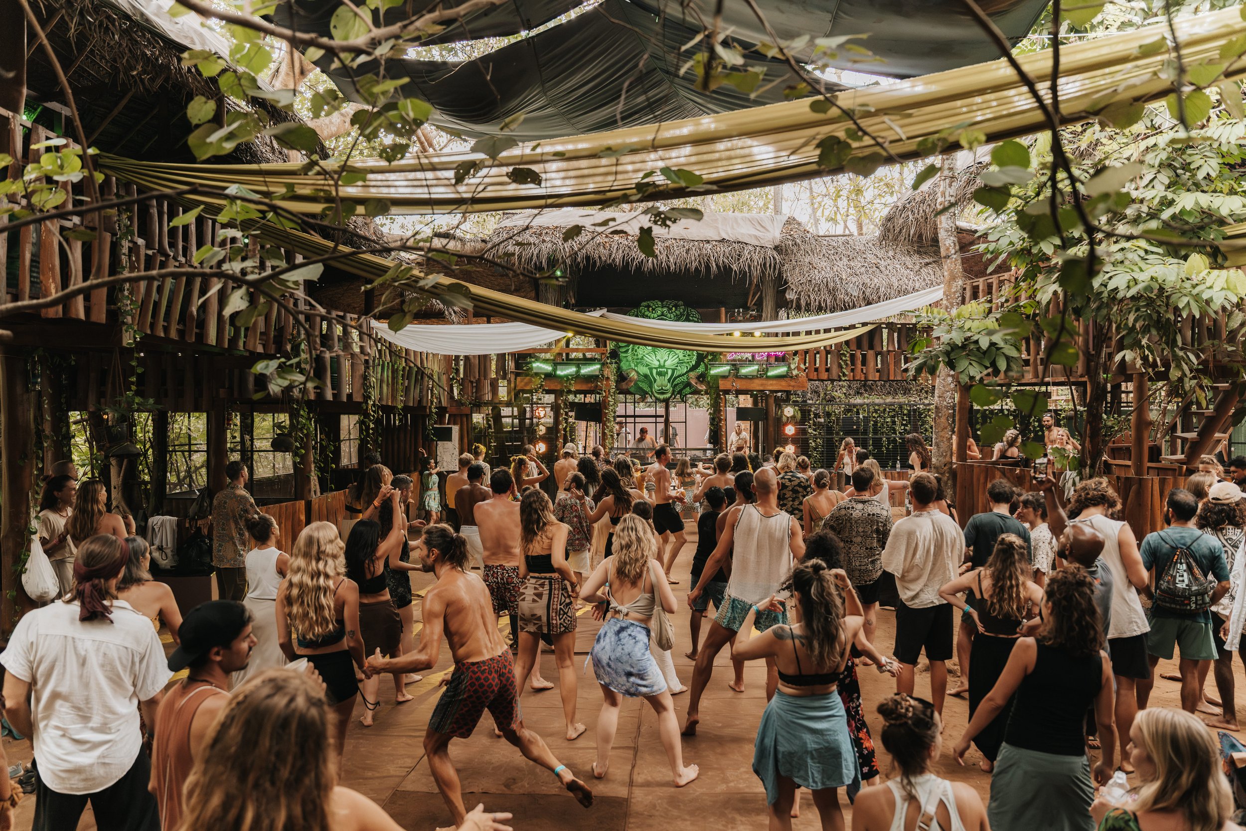 Festivals & Artists - Portfolio Work thumbnail