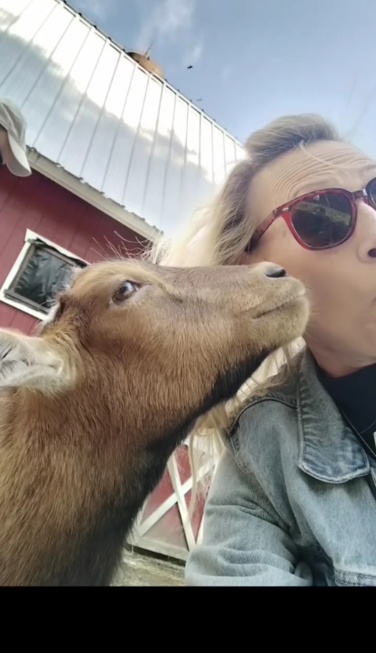 Farm Animals thumbnail