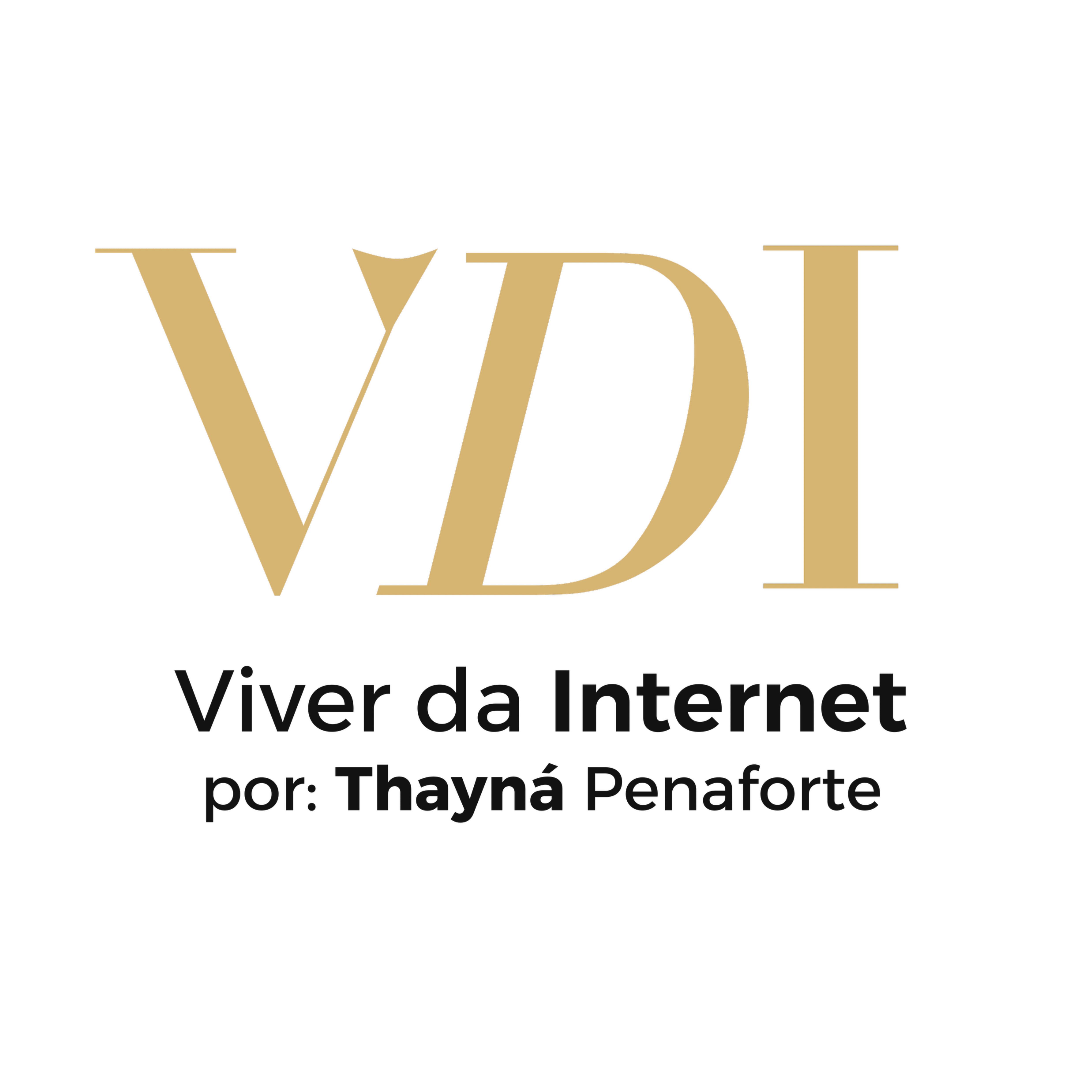 Programa de ACELERAÇÃO VDI thumbnail