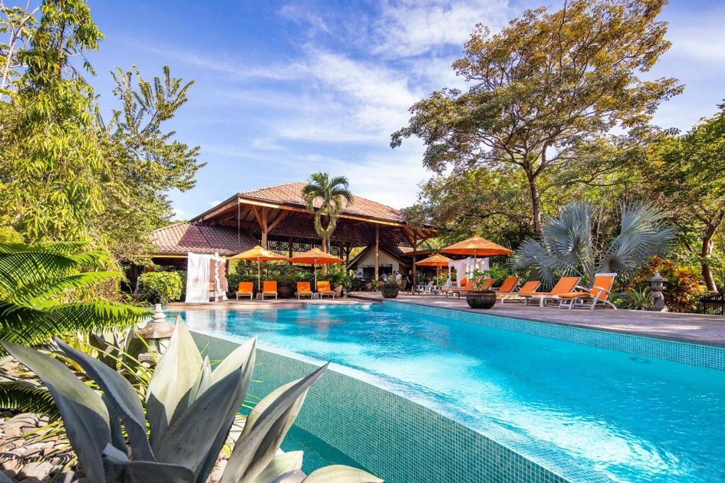 Sobremesa Retreat: Nosara, Costa Rica | early bird deposit pricing available through Nov. 29 thumbnail