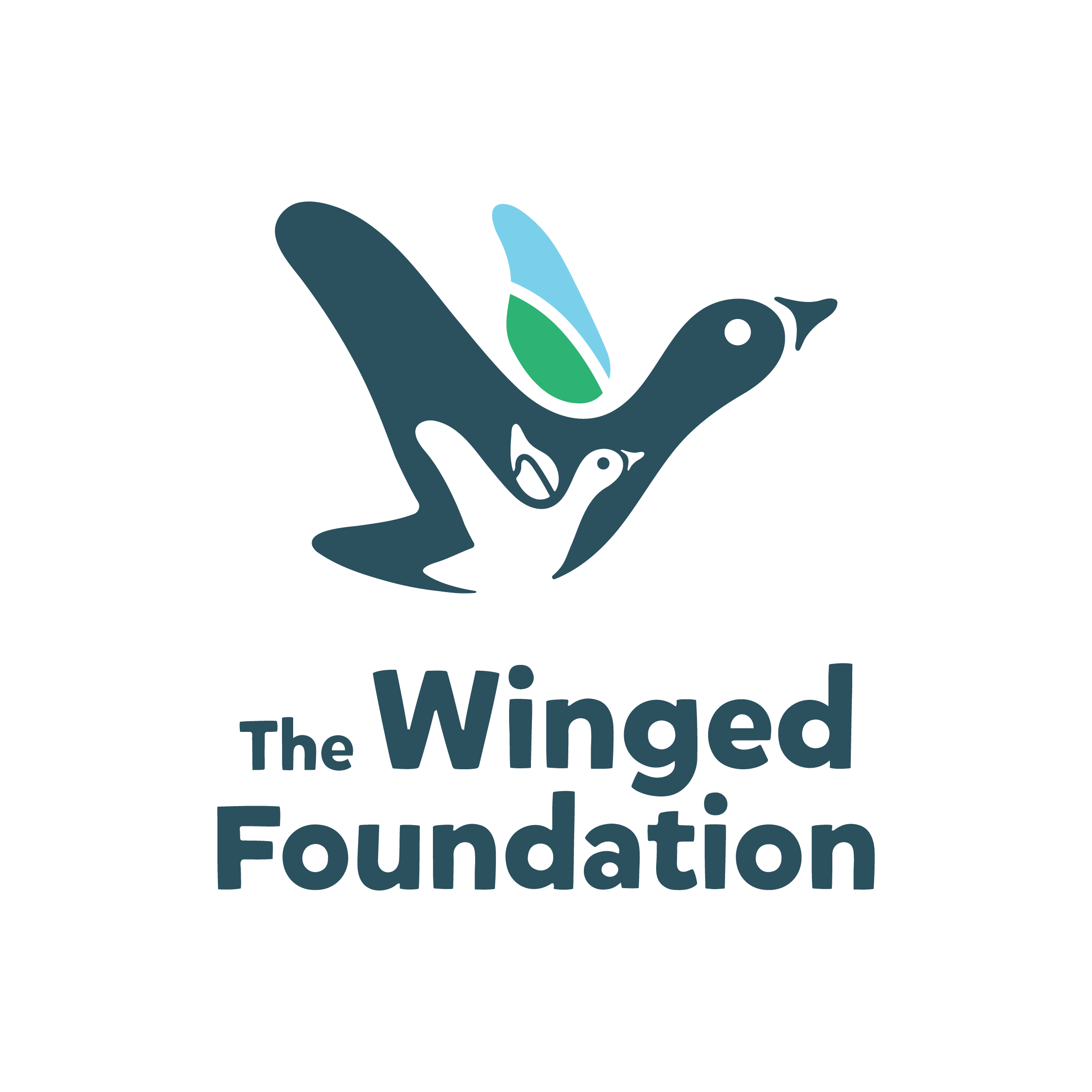 Founder: The Winged Foundation 🦆 thumbnail