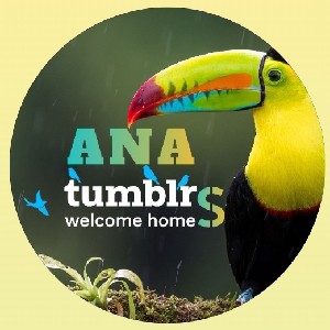 ANATumblrs thumbnail