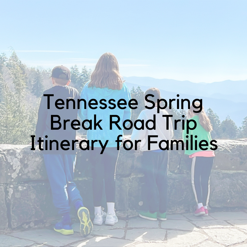 Tennessee Spring Break Road Trip Itinerary for Families — A Mom Explores |  Family Travel Tips, Destination Guides with Kids, Family Vacation Ideas, and more! thumbnail