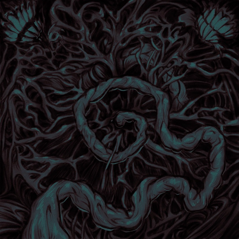 Umbilical Cord - Bio Site thumbnail