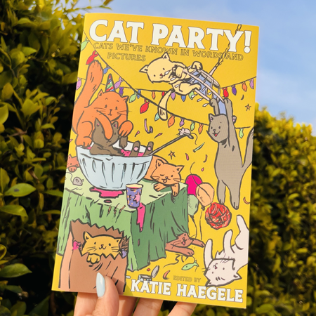 Cat Party Book thumbnail