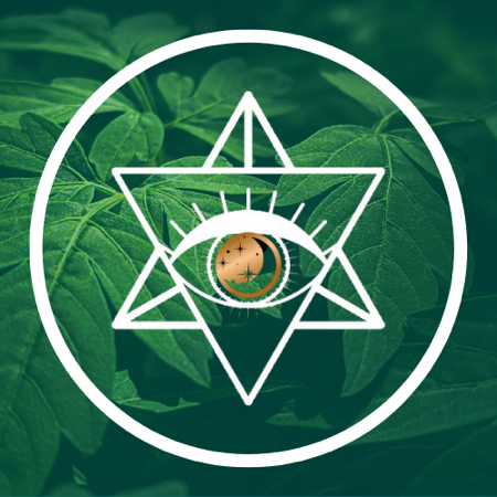 CAMBIO DE VIDA en La Bruja Alquimista thumbnail