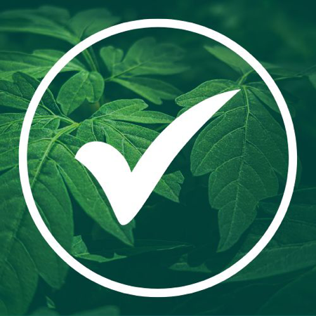 Tienda de RECOMENDACIONES thumbnail