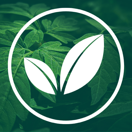 Crea tu LECHE VEGETAL casera thumbnail