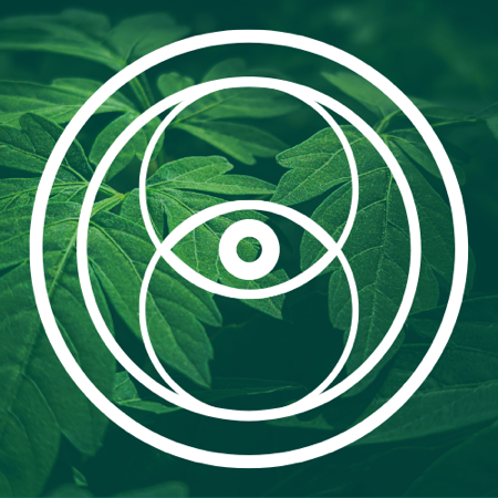 Nuestros DISEÑOS ORIGINALES thumbnail