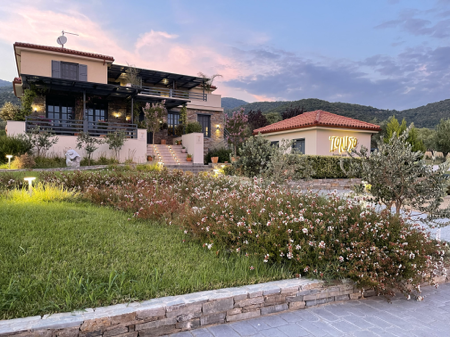 VISIT OUR WEBSITE 🕊️ thumbnail