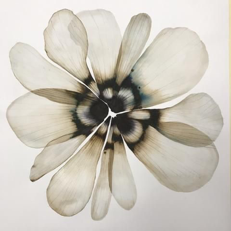 Funds 🇵🇸 thumbnail