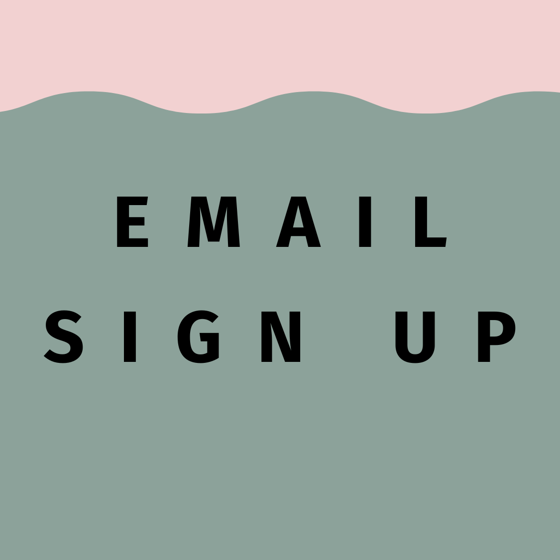 EMAIL SIGNUP thumbnail