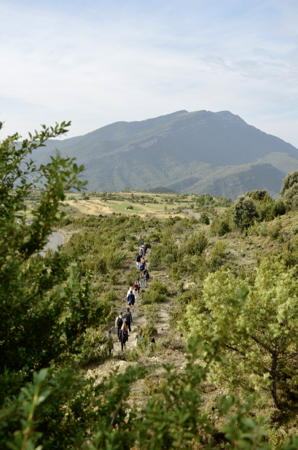 Retreats Calendar 2025 thumbnail