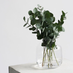 LTK - recent fits thumbnail