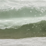 Revolve favorites thumbnail