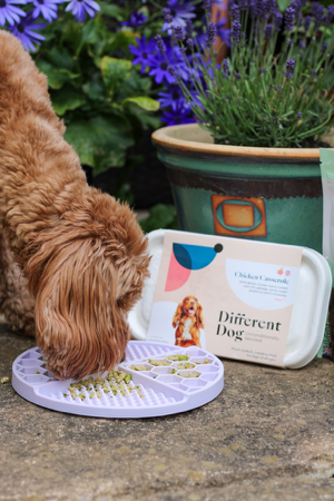 Different Dog Food - PPMARLOWE for 35% off your first two orders thumbnail