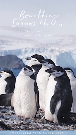 第26期 Antarctica thumbnail