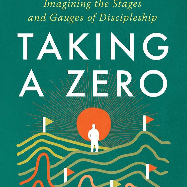 Taking A Zero Book thumbnail