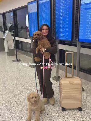 How I fly with my dogs 🐶✈️  #petcarrier #tsaapproved #traveltips #pettravel #dogtravel #traveling #travelingwithdogs #tr