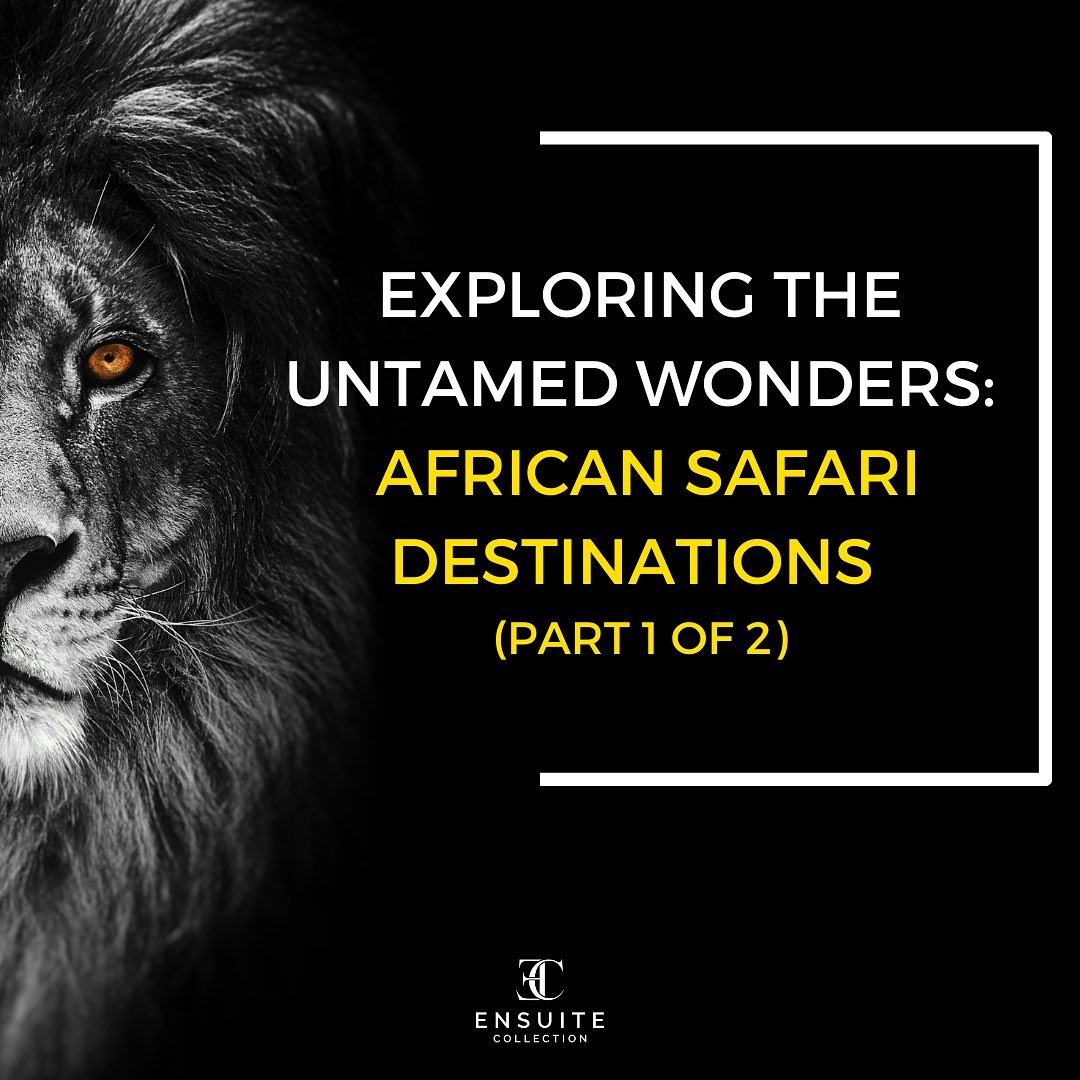 🦁 Unveil Africa's Untamed Wonders: Part 1 of our thrilling African Safari series! 🌍🐘 Get ready for a wild adventure as w