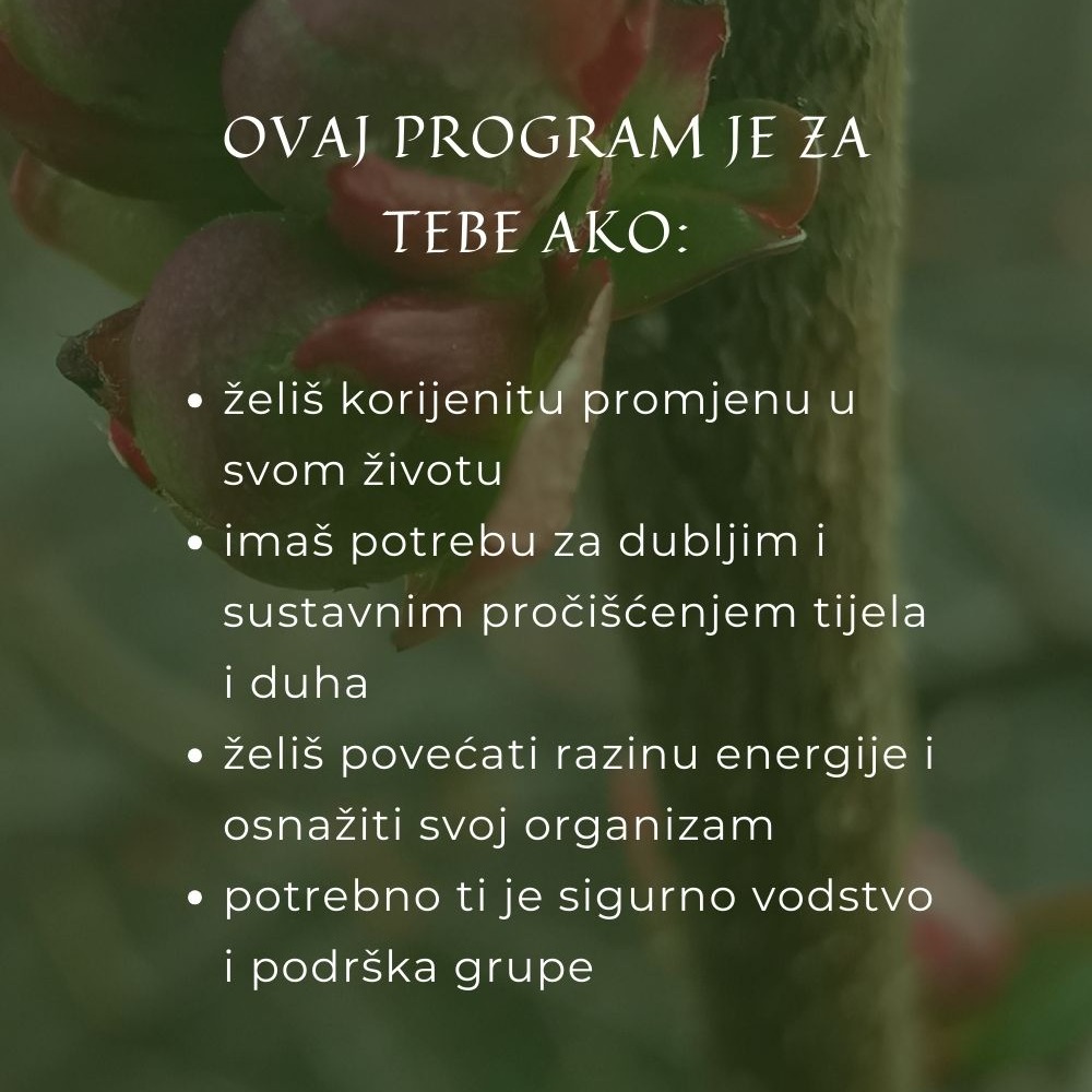Prijava za Program thumbnail