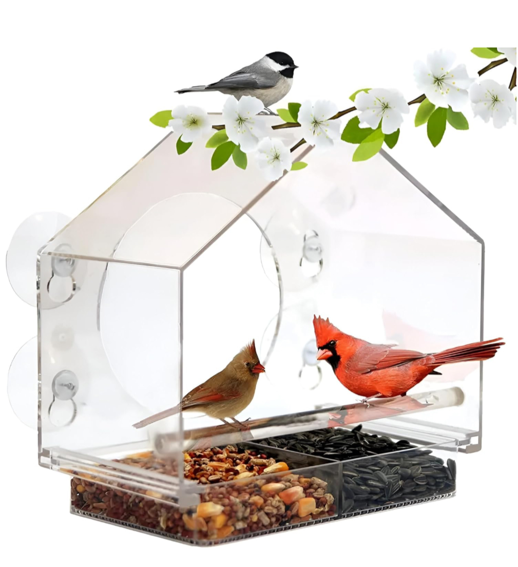 Bird Feeder thumbnail