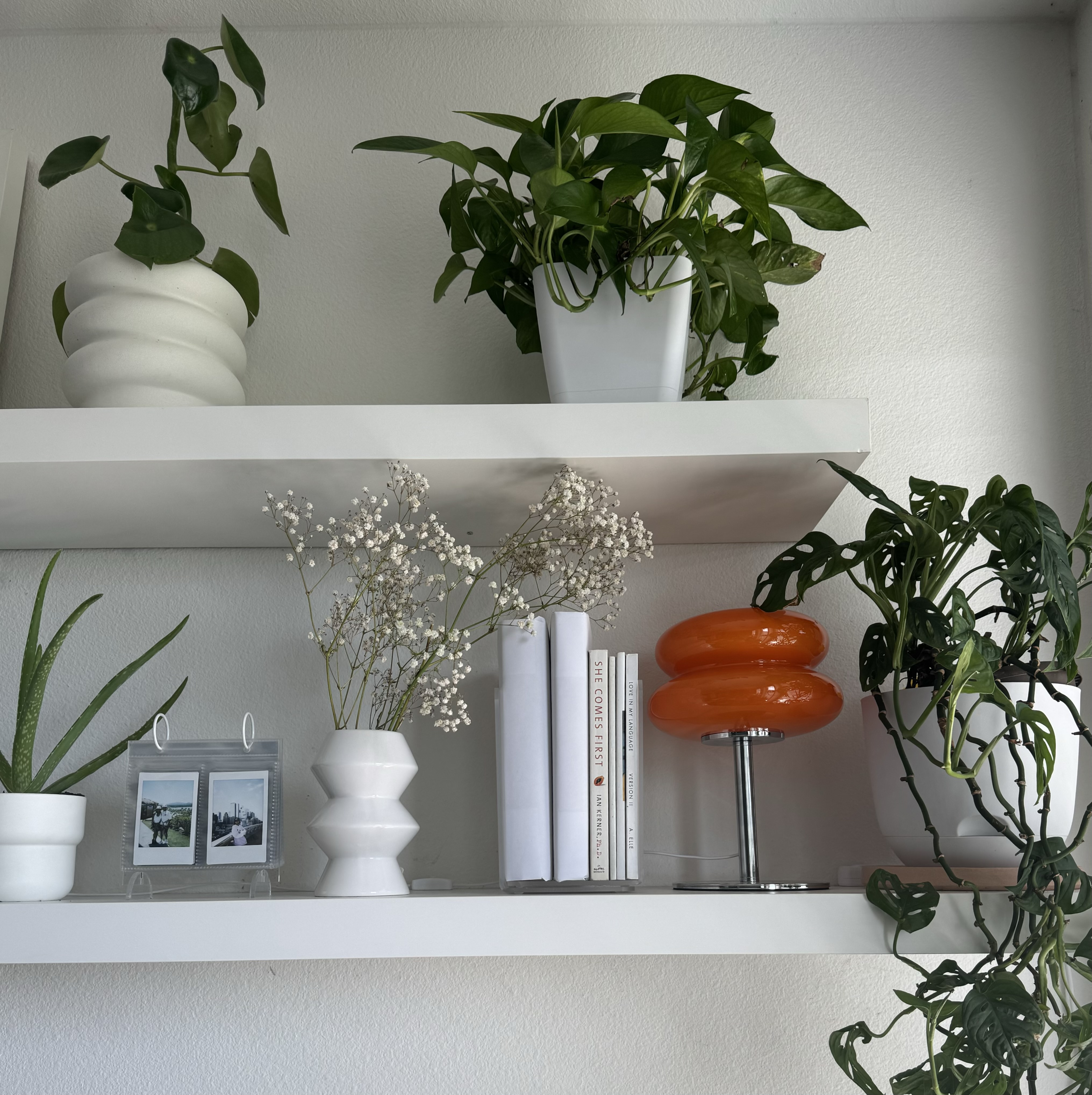 Home Decor thumbnail