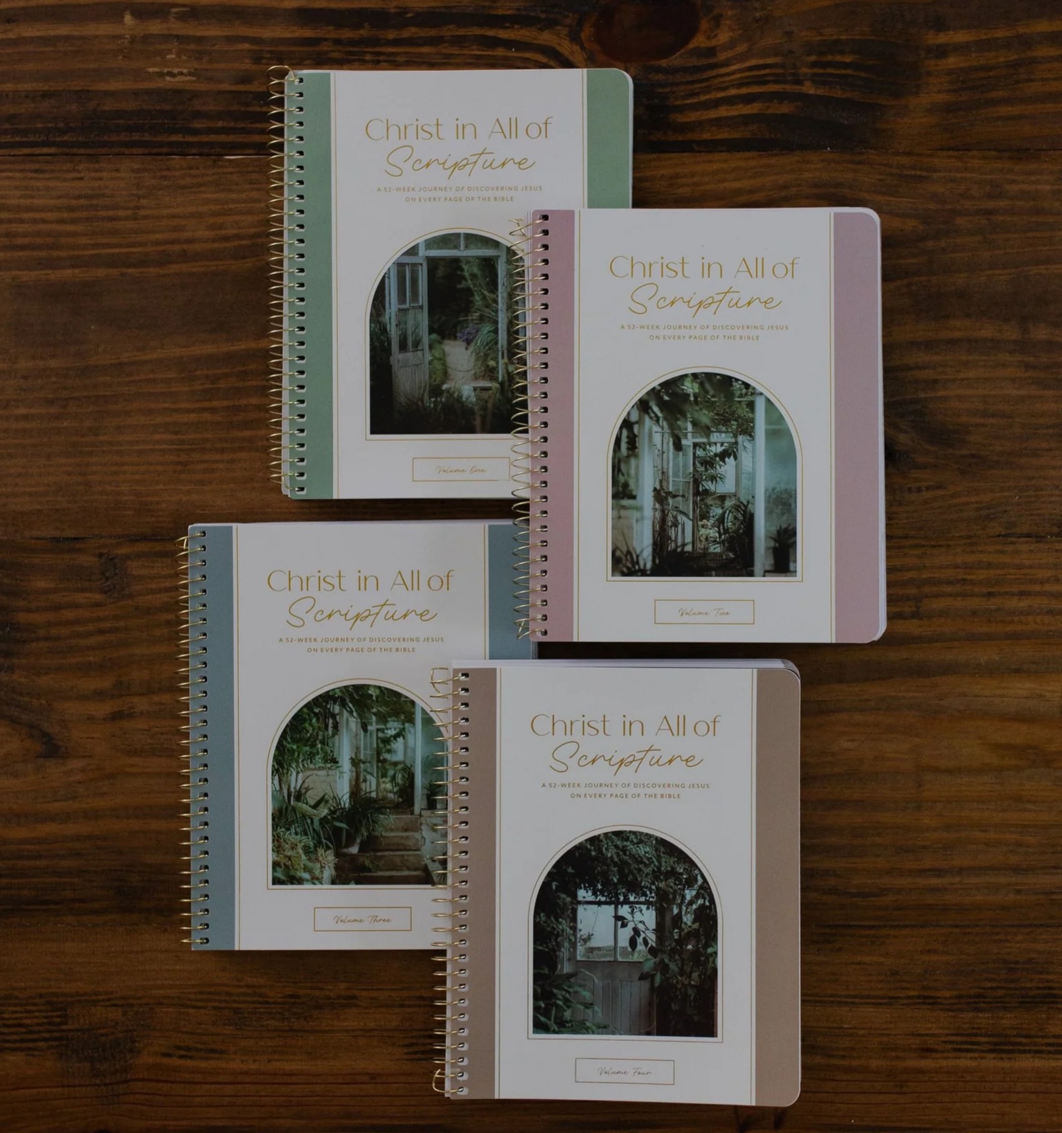 Christ in All of Scripture -- Year-long Bible Study (4-vol set) thumbnail
