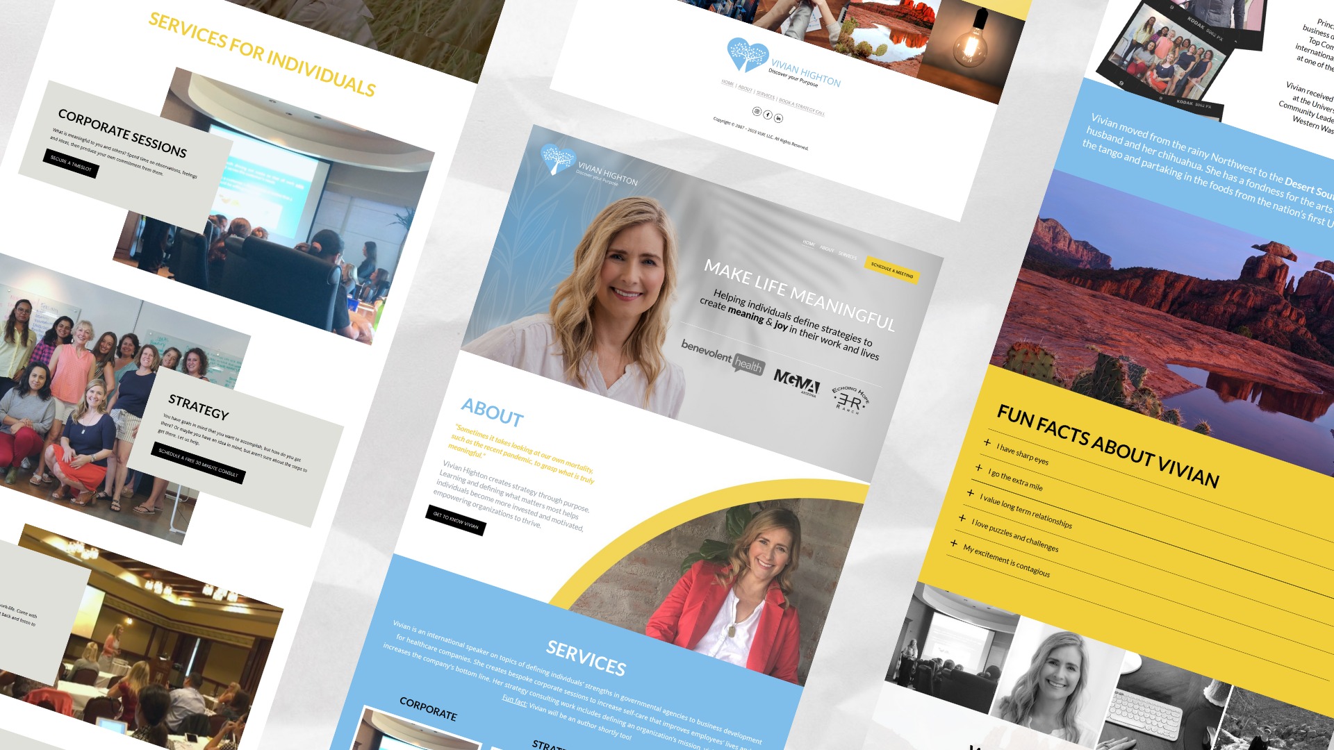 Client Website: VLW Company thumbnail