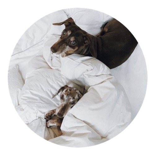 My Dog thumbnail